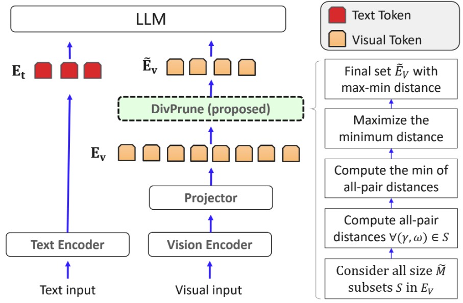 DivPrune: Diversity-based Vision-only